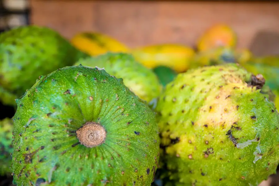 Quotes about Soursop